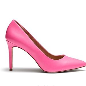 Meet your Posher, Molly